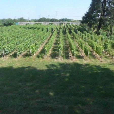 Au Clos De L'Epinay Vouvray Esterno foto