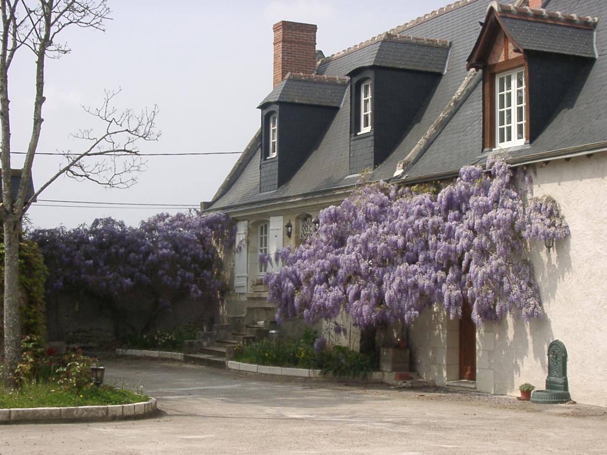 Au Clos De L'Epinay Vouvray Esterno foto