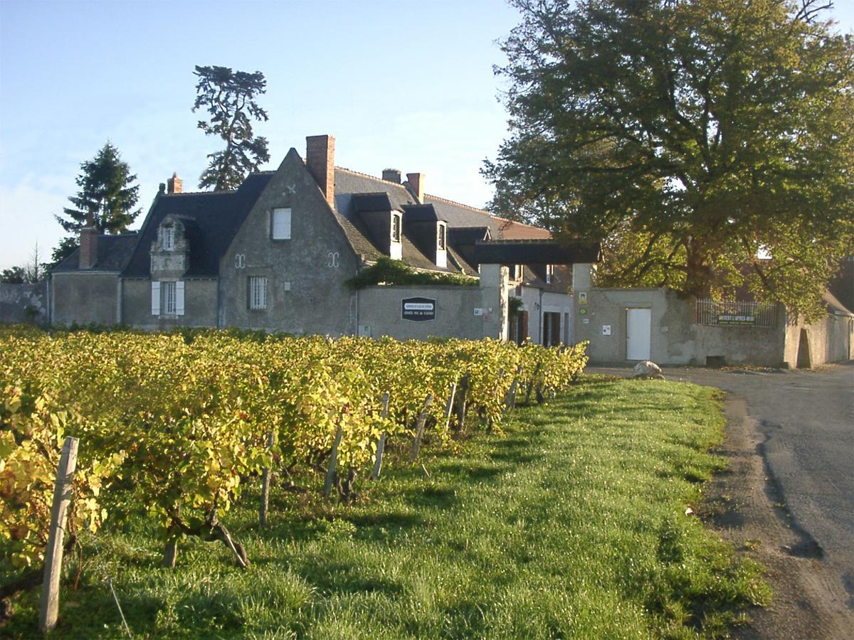 Au Clos De L'Epinay Vouvray Esterno foto