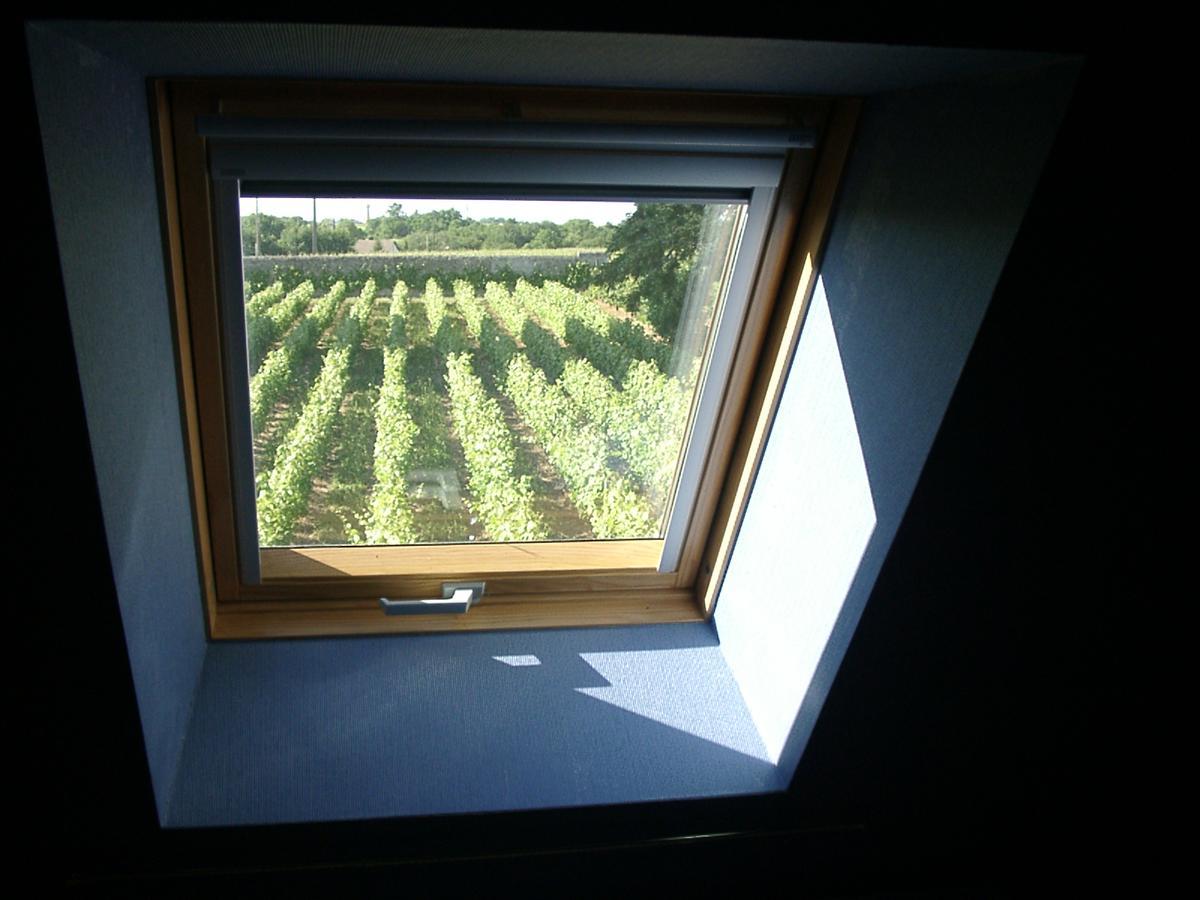 Au Clos De L'Epinay Vouvray Esterno foto