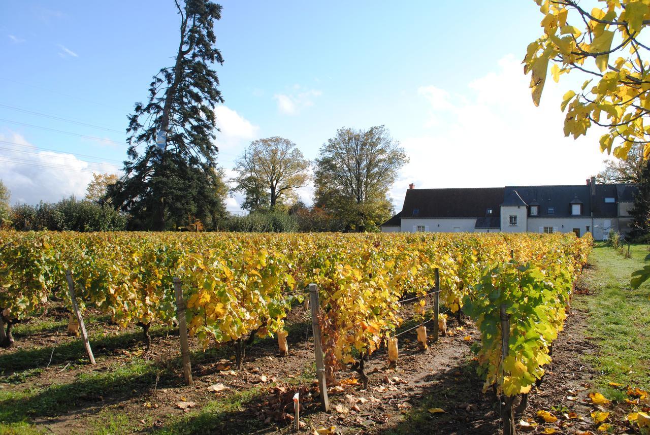 Au Clos De L'Epinay Vouvray Esterno foto