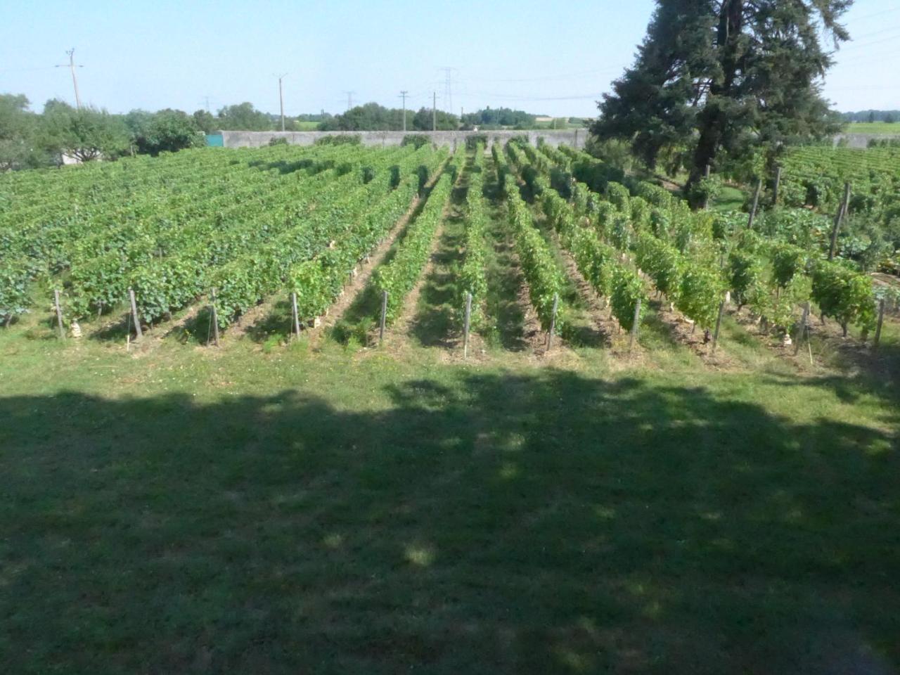 Au Clos De L'Epinay Vouvray Esterno foto